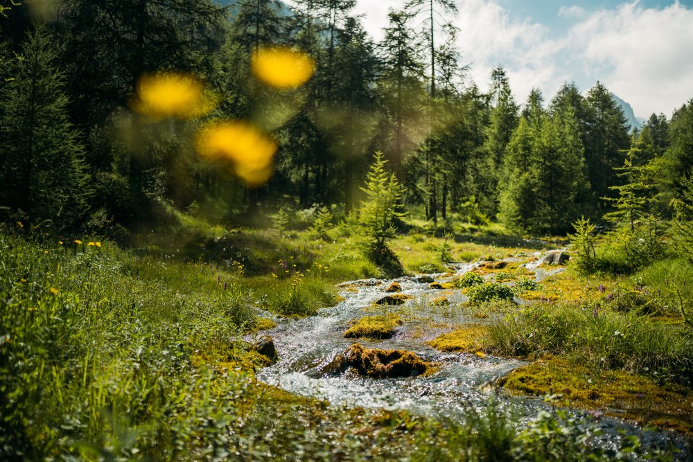 Infrastruktur und Ausstattung im Camping Mistral Valle Maira Piemont