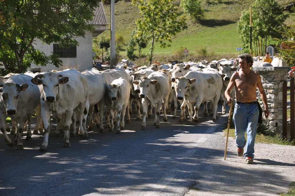Unser Nachhaltigkeits-Manifest: Camping Mistral Valle Maira Piemont