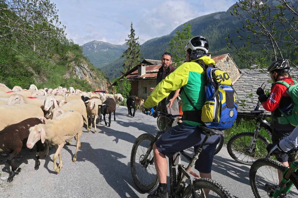 Unser Nachhaltigkeits-Manifest: Camping Mistral Valle Maira Piemont