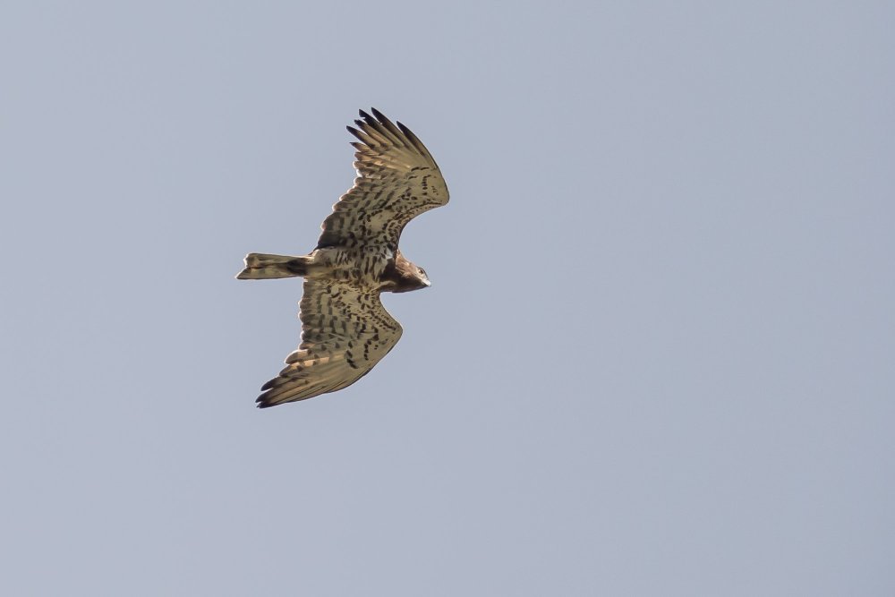 Locanda Mistral Valle Maira Piemont