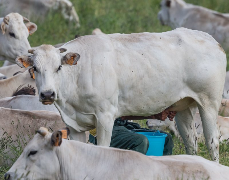 Partner Locanda Mistral Valle Maira