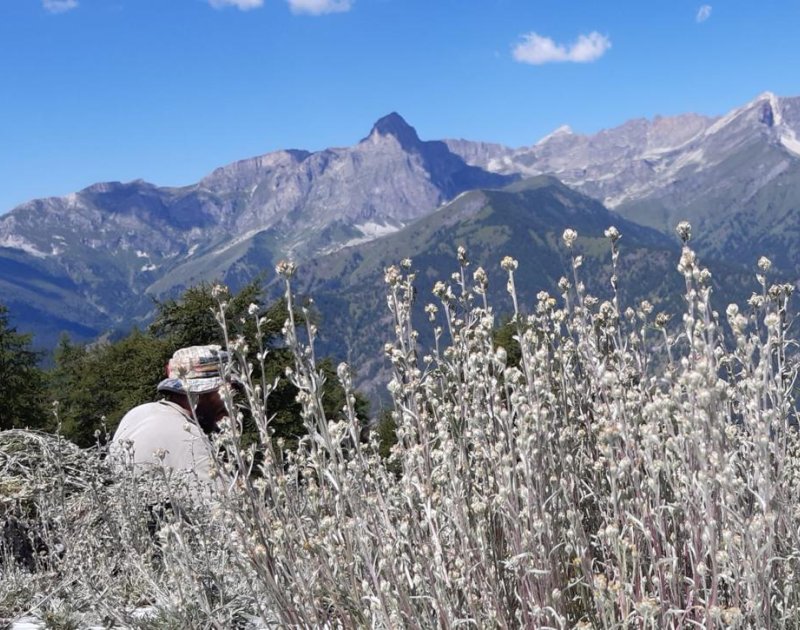 Partner Locanda Mistral Valle Maira