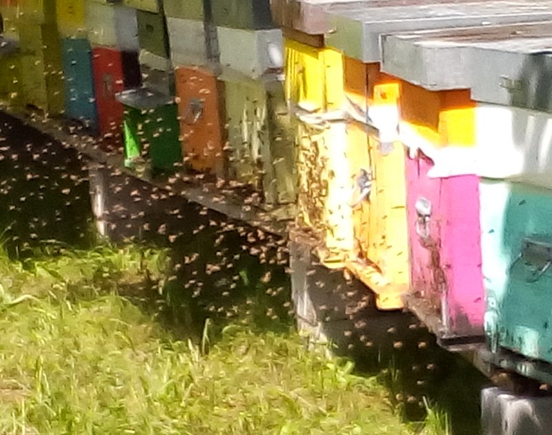 Partner Locanda Mistral Valle Maira